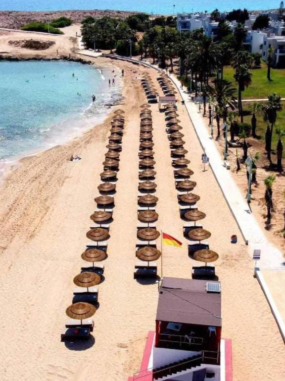 Freij Hotel & Resort - Adults Only أيا نابا المظهر الخارجي الصورة